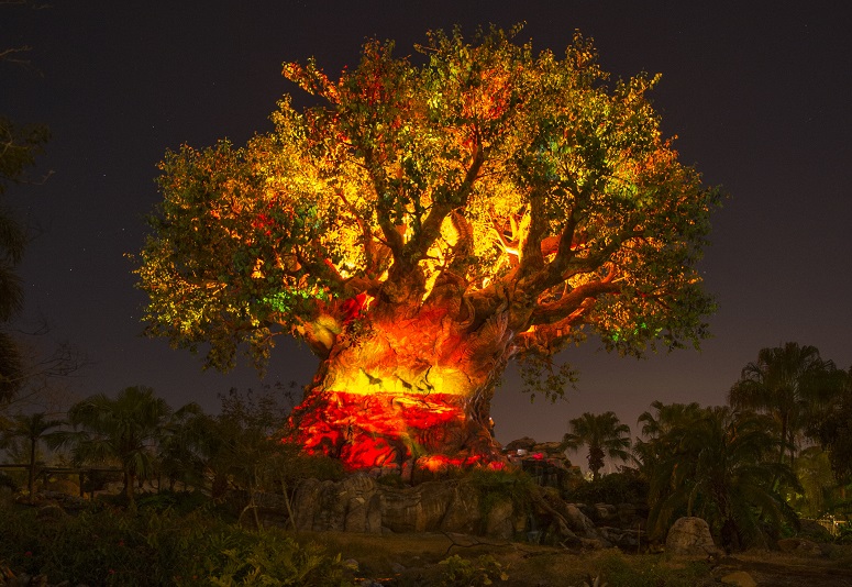Tree of Life Awakens at Disney's Animal Kingdom at Night, Part of Animal Kingdom's Nighttime Experiences