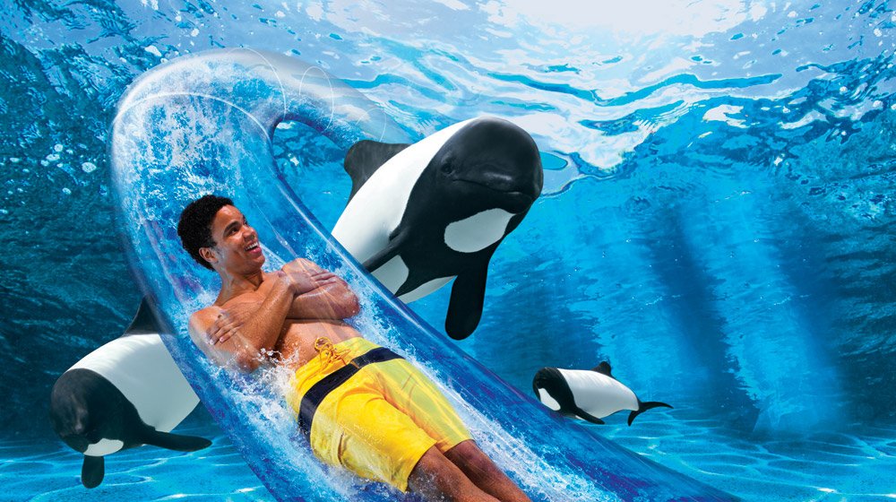 Computer-generated graphic to showcase one of Aquatica's water-slides, the Dolphin Plunge. The see-through tube slide submerges underwater and is surrounded by Commerson's Dolphins. Teenage male is pictured to be zooming through the slide.