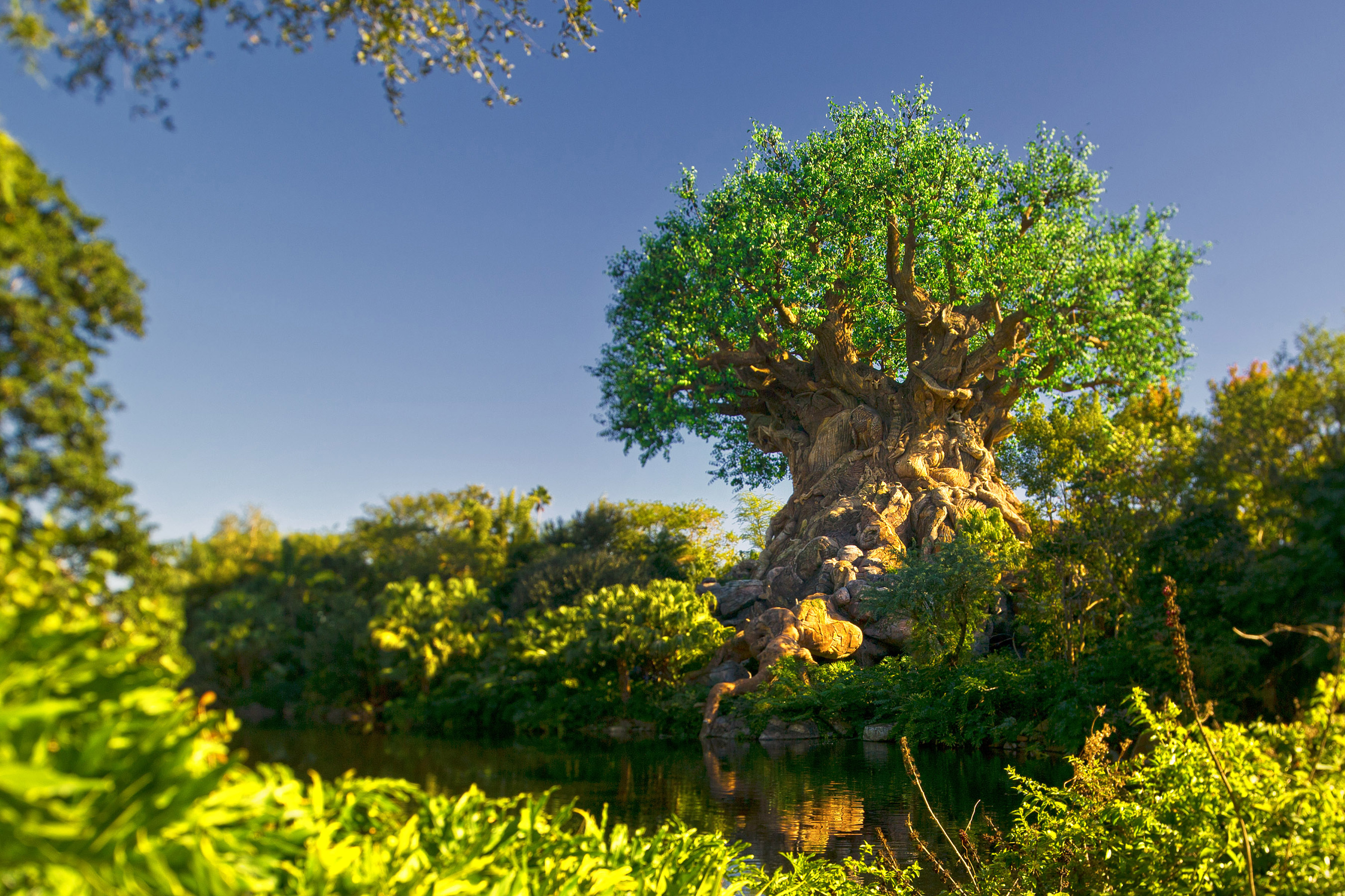 A daytime focus shot of the Tree of Life 9toward right of photo) during the daytime with clear, blue skies at Disney's Animal Kingdom Theme Park.