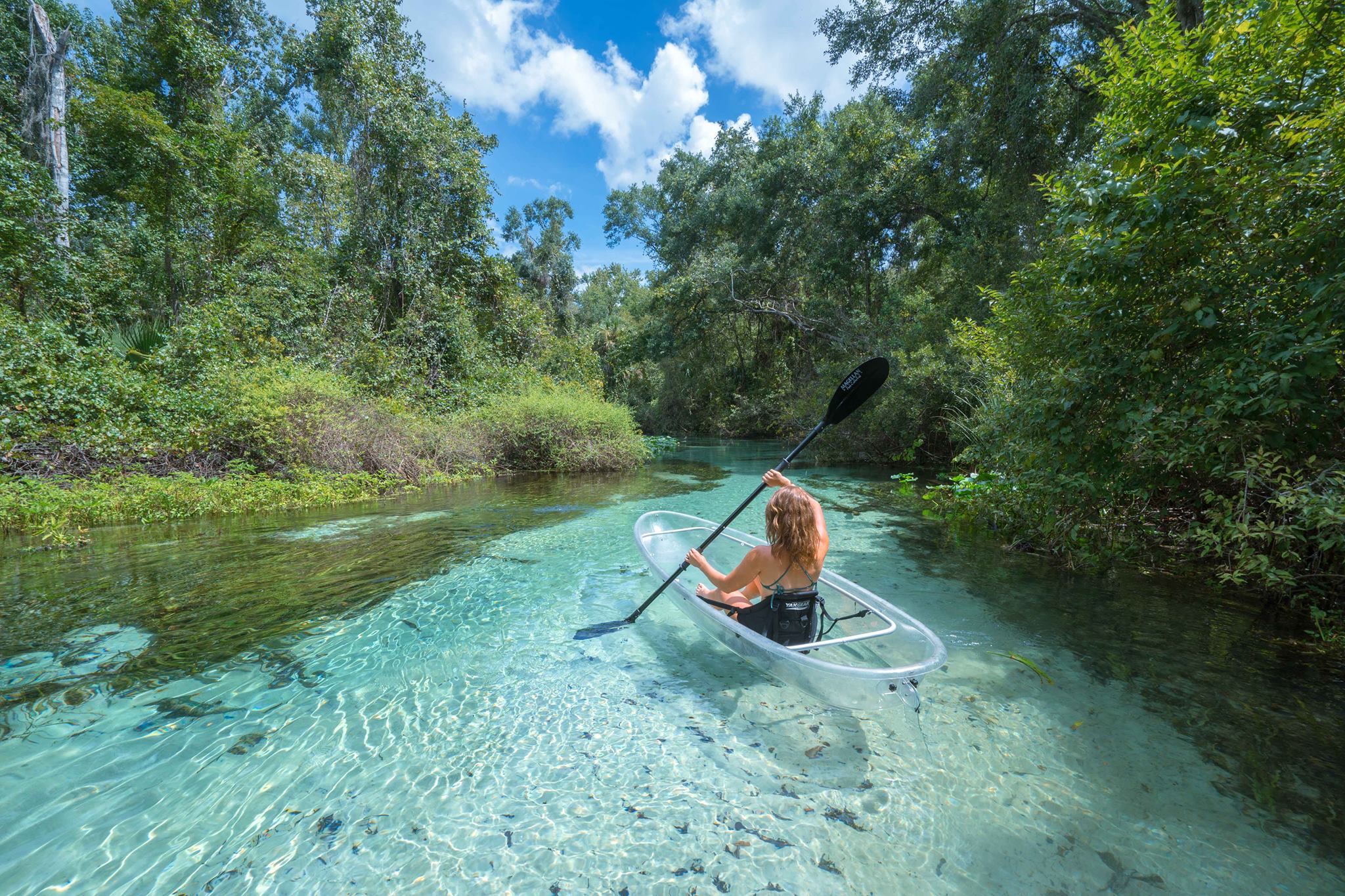 Woman in a clear kayak, kayaking through conservation land during the daytime in spring water that is a vivid turquoise color.