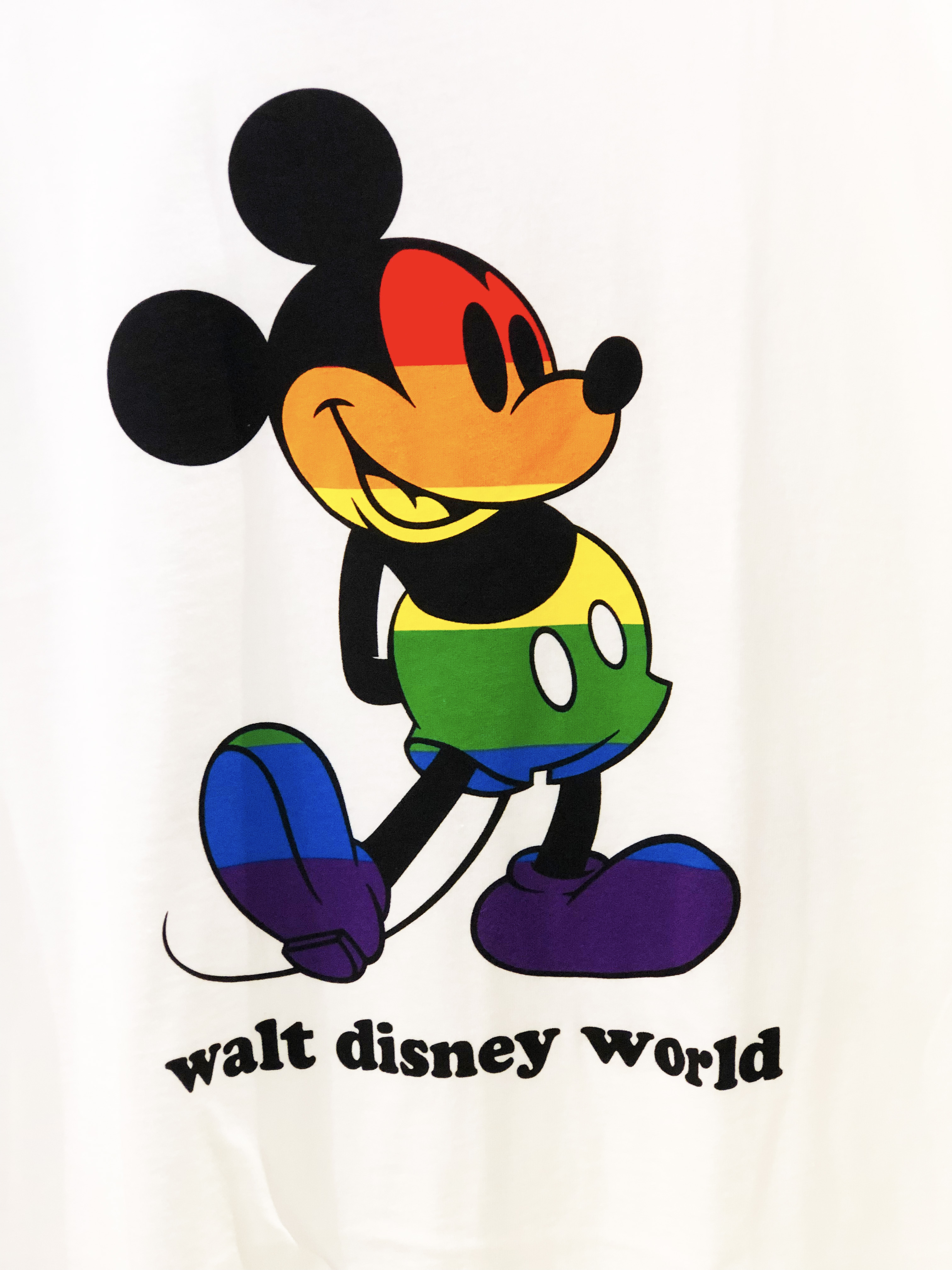 Cropped zoom-in of a white Disney-tee that showcases the classic Mickey posed with one foot out and his hands crossed behind his back. He is colored in a rainbow-stripe pattern with black text that reads "Walt Disney World" below him.