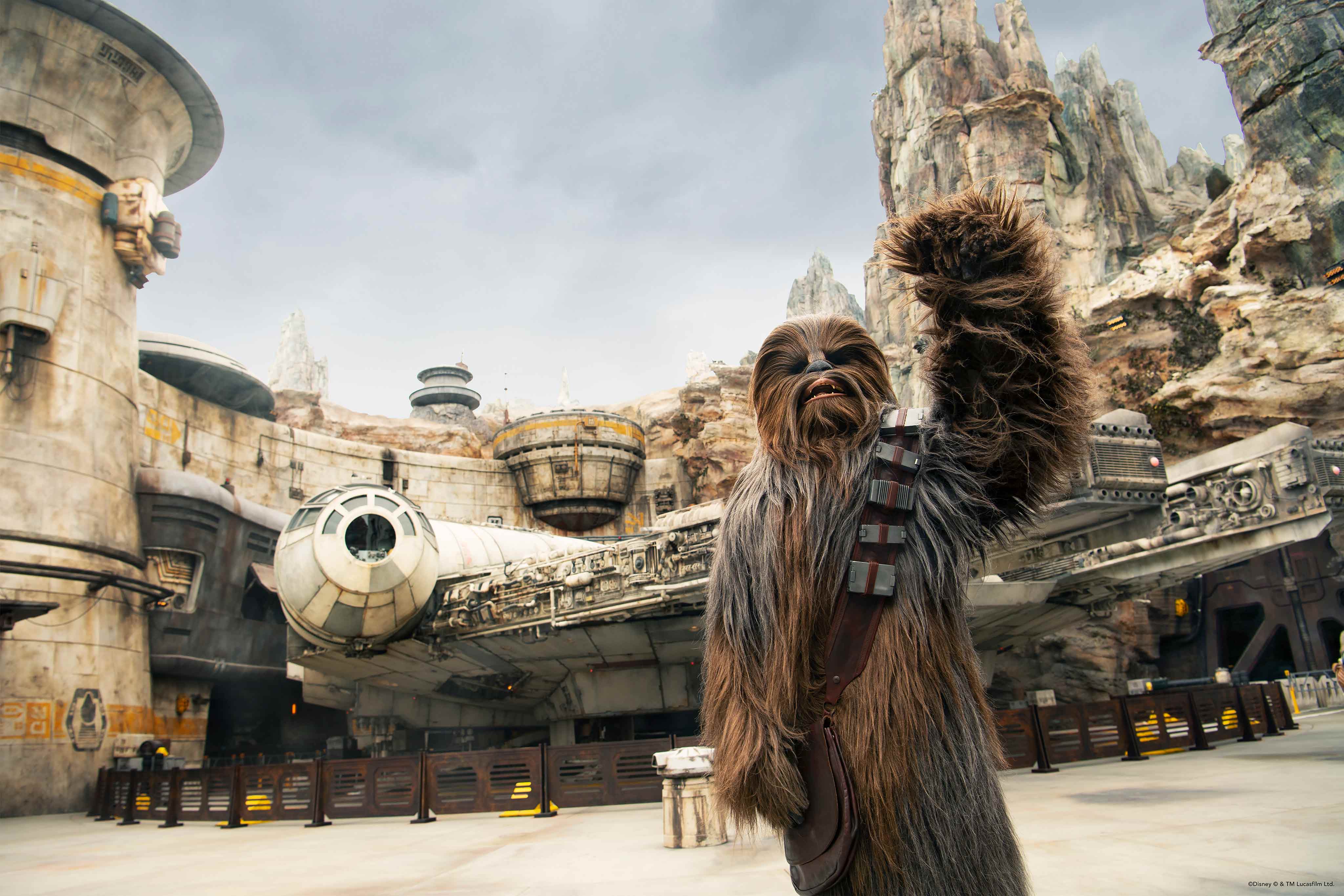 Daytime shot of Chewbacca holding up his left fist in as he stares off into the distance. Behind him is the Millennium Falcon. Star Wars: Galaxy's Edge at Disney's Hollywood Studios®. Lake Buena Vista, Florida.