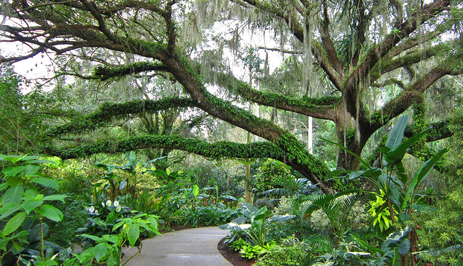 Harry P. Leu Gardens